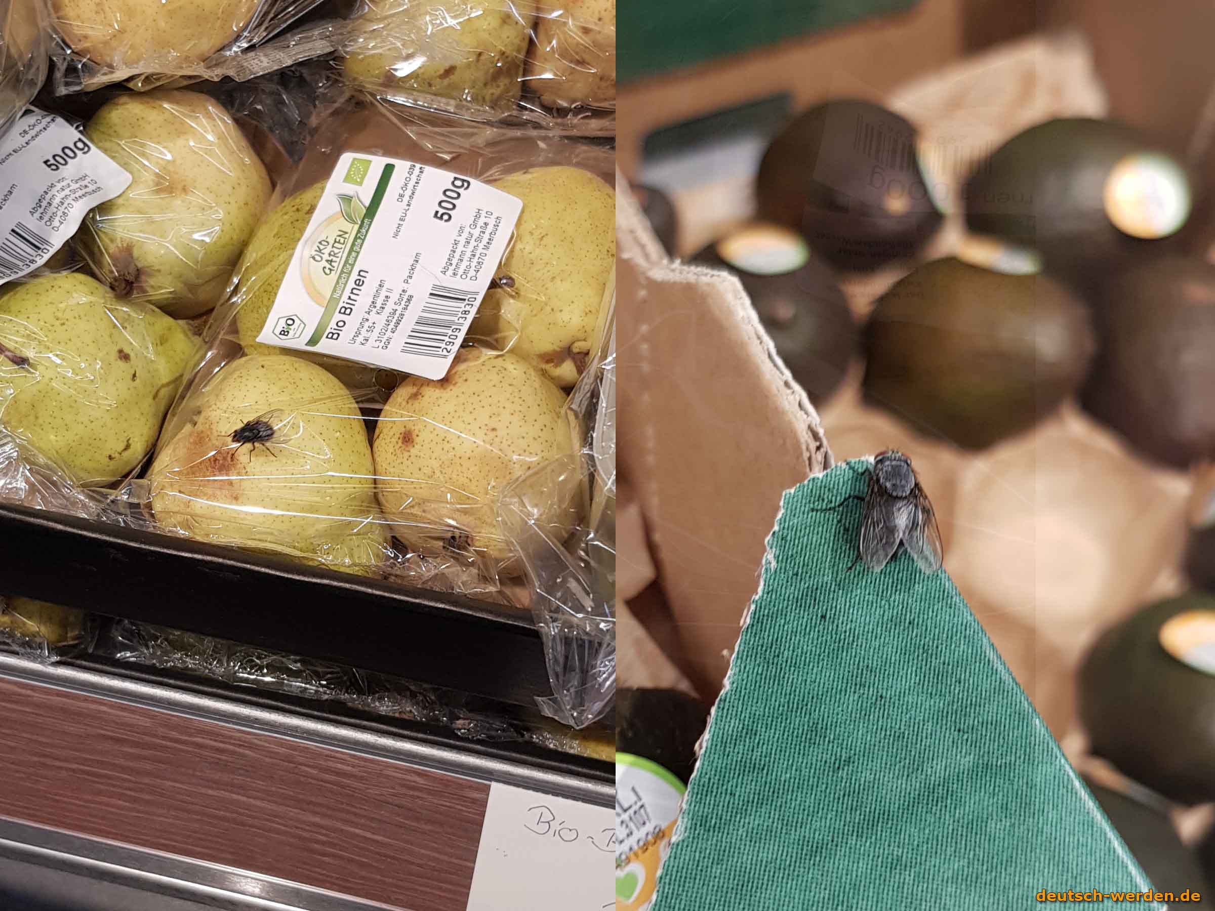 Welches Lebensmittel-Supermarkt ist billiger: Aldi oder Lidl?