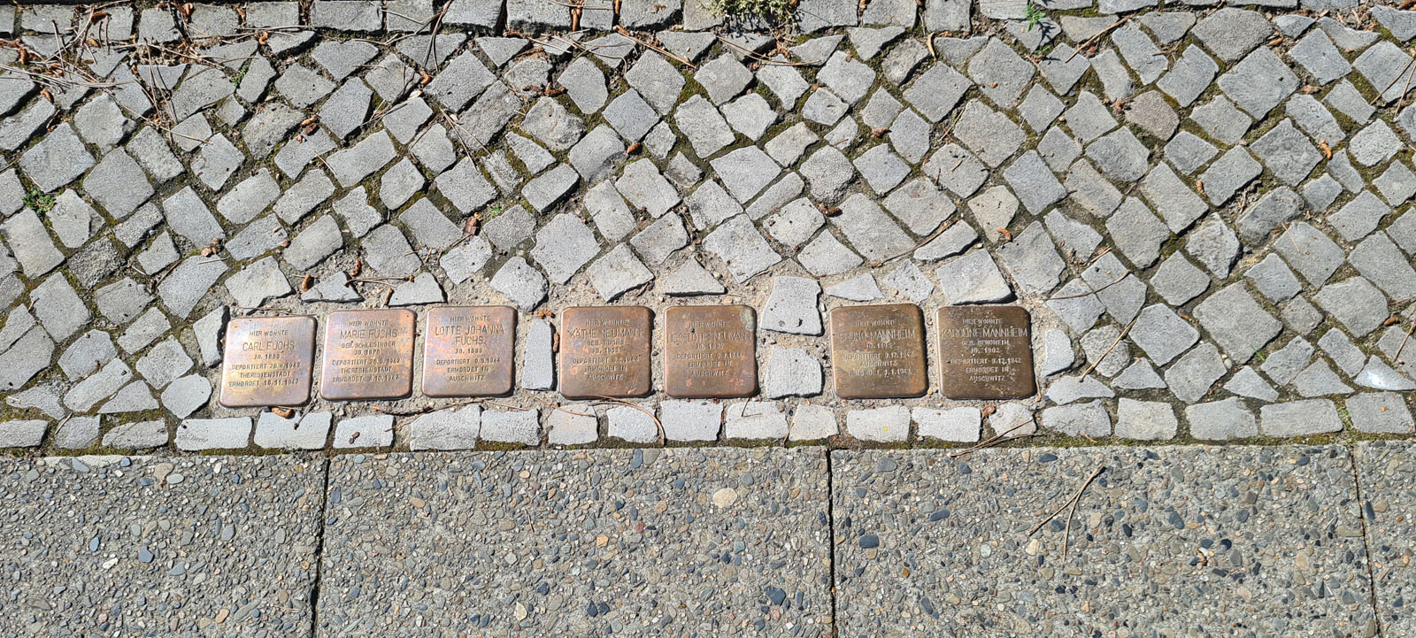 Stolpersteine in Brandenburg