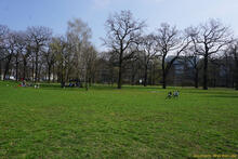 Park 2