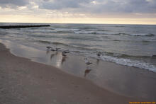 Ostsee