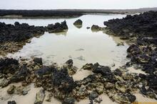 Lanzarote, Kanarische Inseln, Spanien - Kanaren in guter Qualität