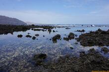 Lanzarote, Kanarische Inseln, Spanien - Kanaren in guter Qualität