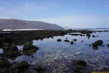 Lanzarote, Kanarische Inseln, Spanien - Kanaren in guter Qualität