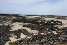 Lanzarote, Kanarische Inseln, Spanien - Kanaren in guter Qualität