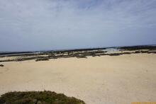 Lanzarote, Kanarische Inseln, Spanien - Kanaren in guter Qualität