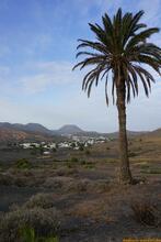 Lanzarote, Kanarische Inseln, Spanien - Kanaren in guter Qualität