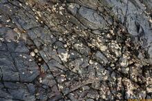 Lanzarote, Kanarische Inseln, Spanien - Kanaren in guter Qualität