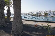 Lanzarote, Kanarische Inseln, Spanien - Kanaren in guter Qualität