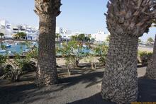 Lanzarote, Kanarische Inseln, Spanien - Kanaren in guter Qualität
