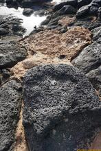 Lanzarote, Kanarische Inseln, Spanien - Kanaren in guter Qualität