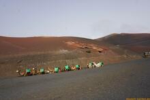 Lanzarote, Kanarische Inseln, Spanien - Kanaren in guter Qualität