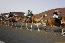 Lanzarote, Kanarische Inseln, Spanien - Kanaren in guter Qualität