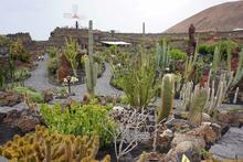 Lanzarote, Kanarische Inseln, Spanien - Kanaren in guter Qualität
