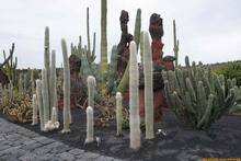 Lanzarote, Kanarische Inseln, Spanien - Kanaren in guter Qualität