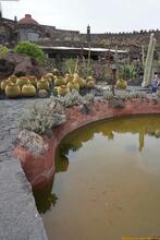 Lanzarote, Kanarische Inseln, Spanien - Kanaren in guter Qualität