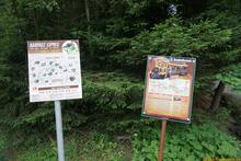 Sniezka / Sněžka an der Grenze zwischen Polen und Tschechien - Riesengebirge
