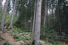 Sniezka / Sněžka an der Grenze zwischen Polen und Tschechien - Riesengebirge