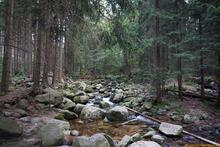 Sniezka / Sněžka an der Grenze zwischen Polen und Tschechien - Riesengebirge