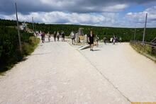 Sniezka / Sněžka an der Grenze zwischen Polen und Tschechien - Riesengebirge