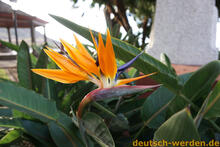 Teneriffa