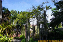 Teneriffa