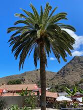 La Gomera 2023