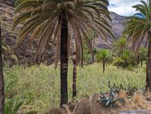 La Gomera 2023