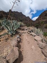 La Gomera 2023