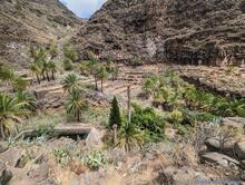 La Gomera 2023